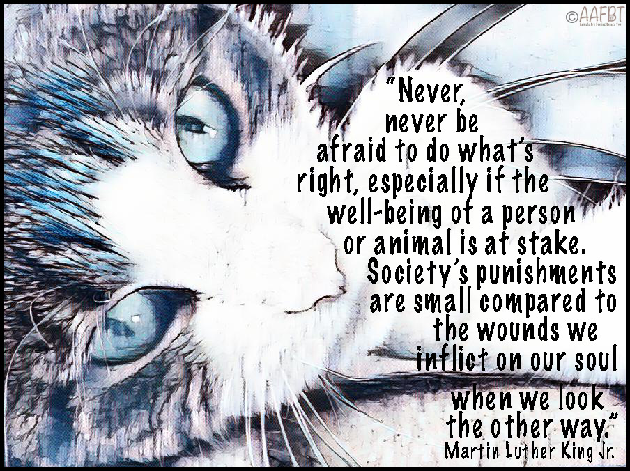 cino-martin-luther-king-quote-border-aafbt