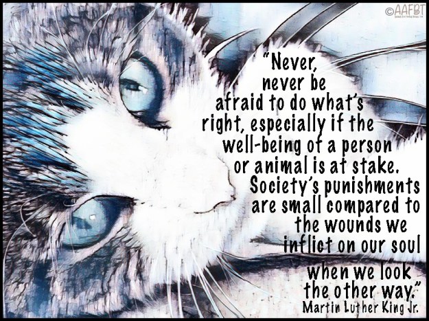 cino-martin-luther-king-quote-border-aafbt