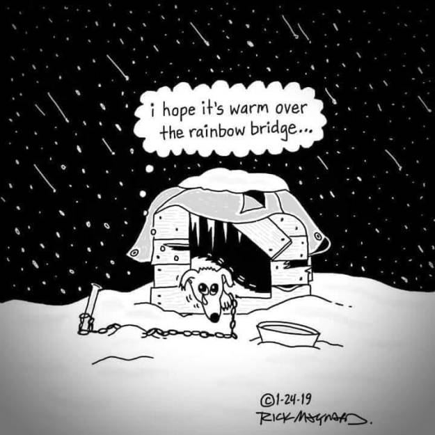 cartoon-dog-freezing-outside