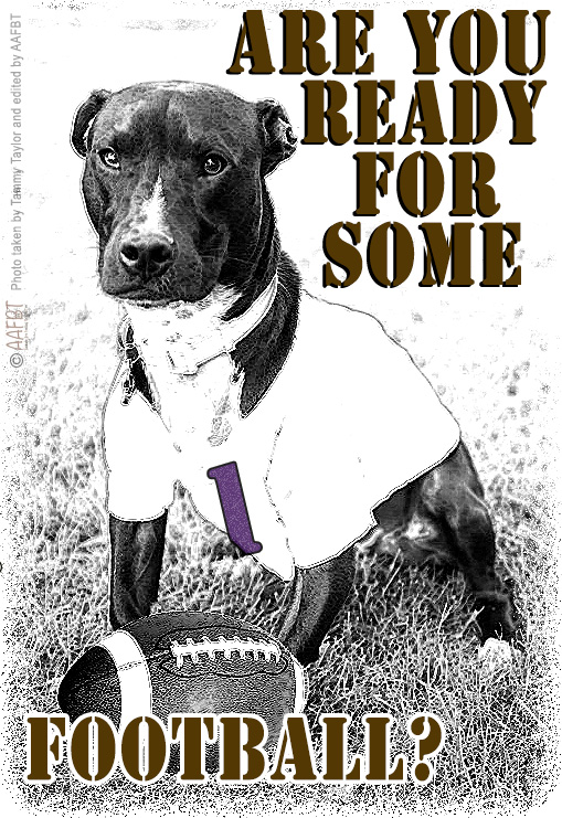 football-butterfinger-aafbt