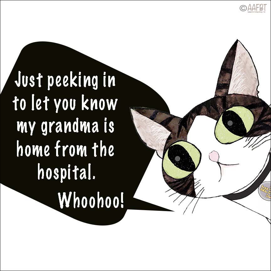 cino-grandma-home-aafbt