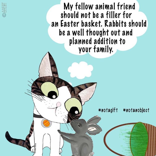 cino-rabbit-easter-basket-aafbt