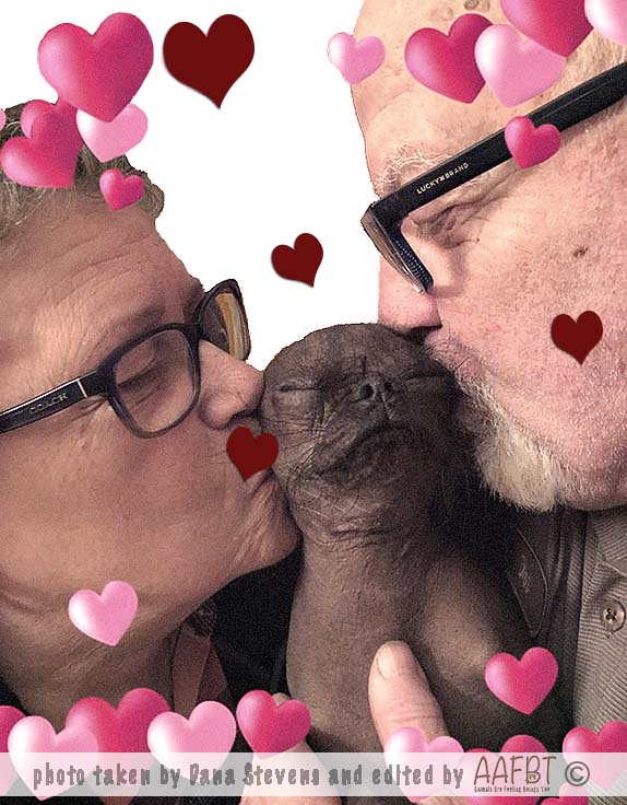 grandma-grandpa-kisses-ds-aafbt