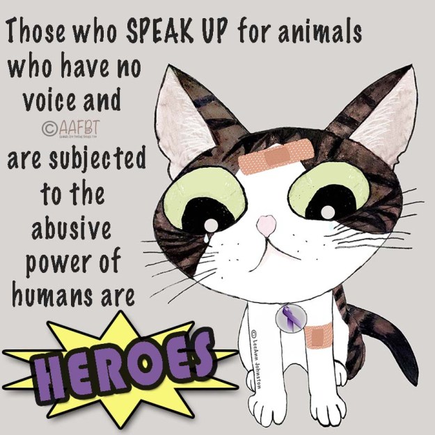 boo-boo-sad-cino-aafbt