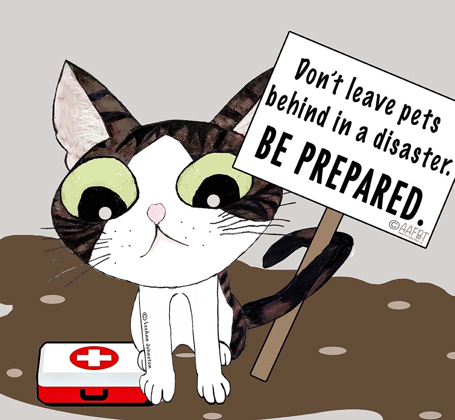 disaster-preparedness-aafbt