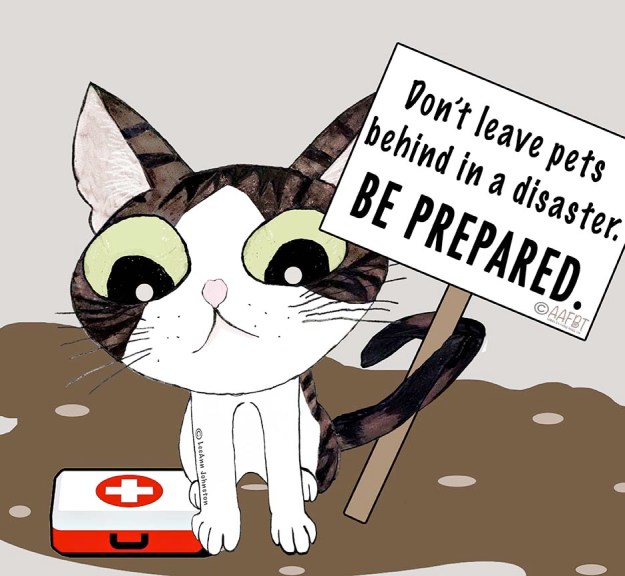 disaster-preparedness-aafbt