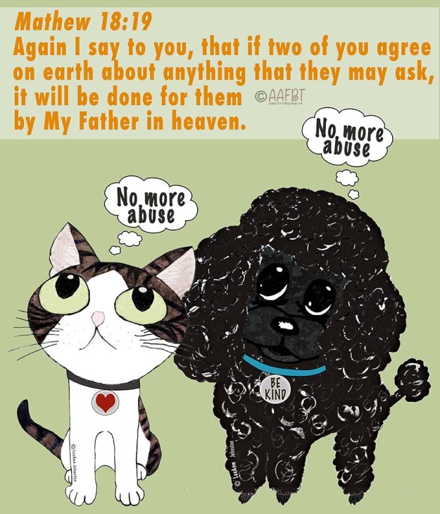 cat-dog-mathew18-19-aafbt