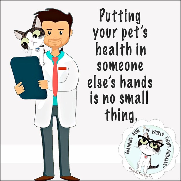 vetrinarian-your-pet-aafbt