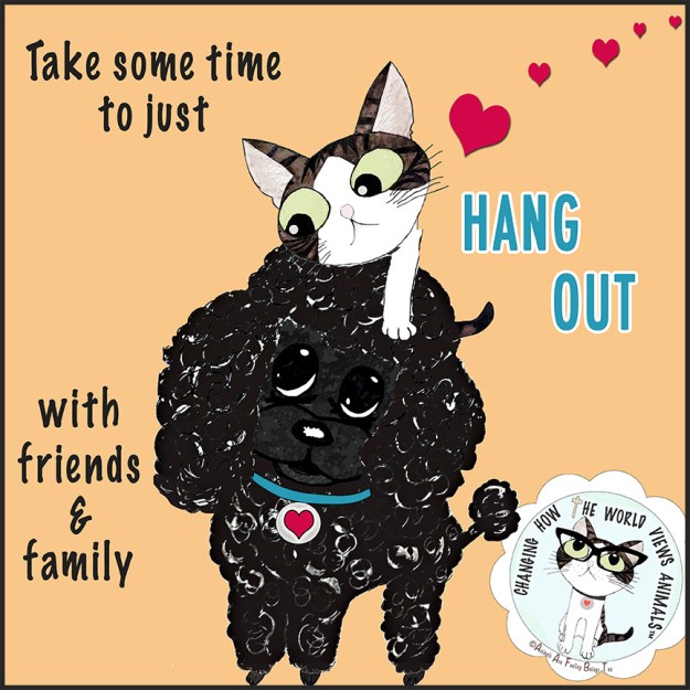 hang-out-dog-cat-aafbt