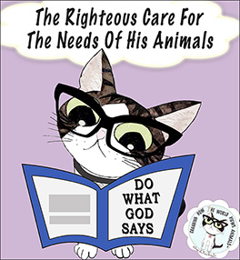 the-righteous-care-for-animals-aafbt(small)