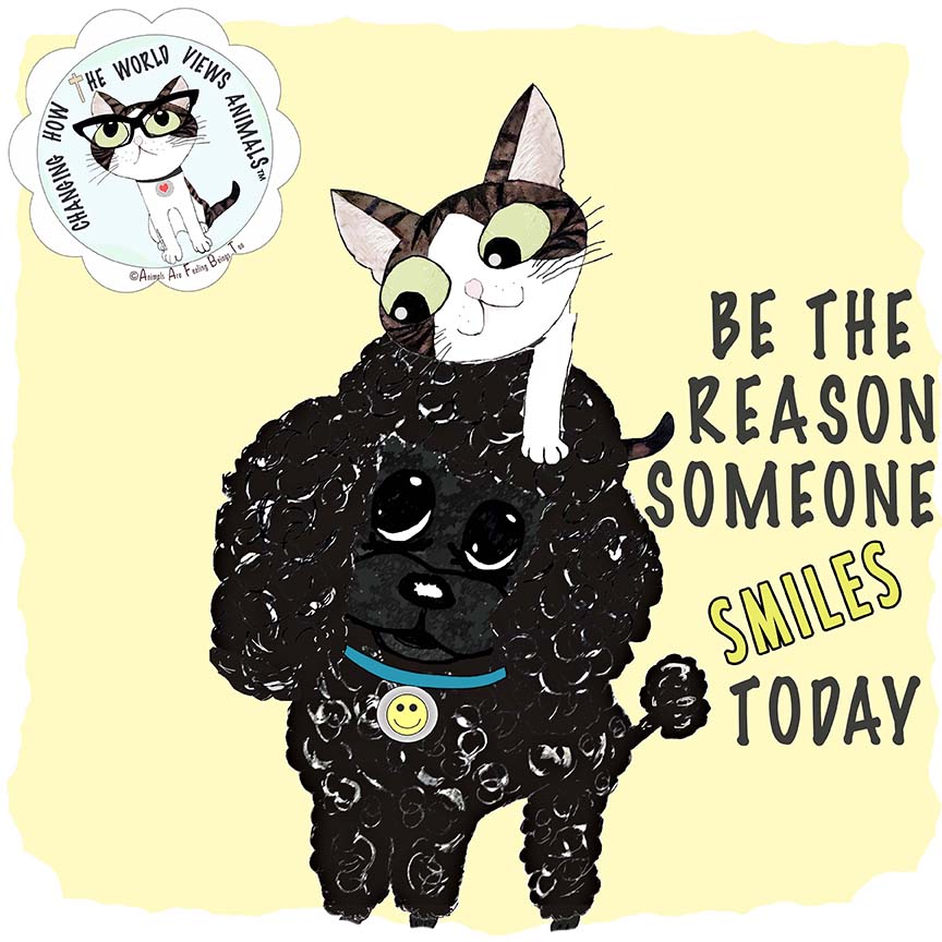 be-reason-smile-aafbt