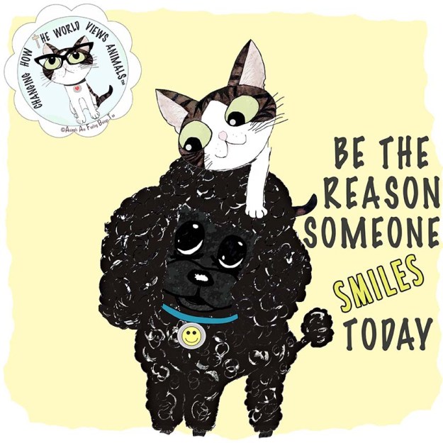 be-reason-smile-aafbt