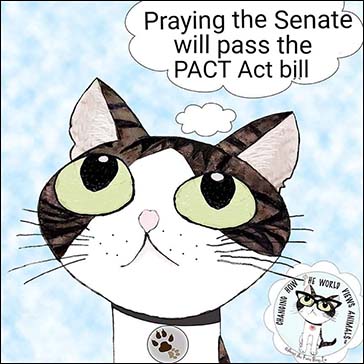 PACT Act bill-small