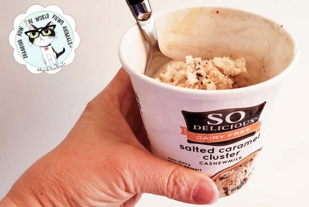 so-delicious-ice-cream