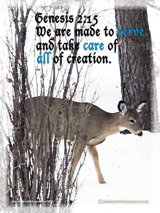 24312416_1881328945516070_2197696230901335270_n