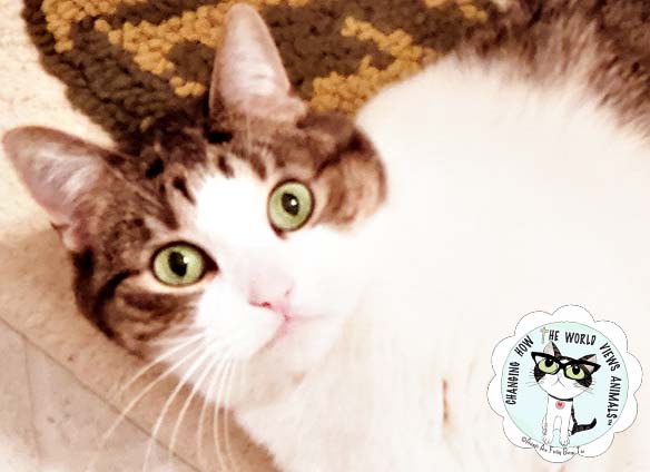 cino-surprised-aafbt