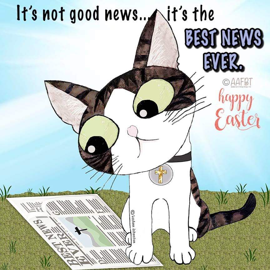 57503302_2194623877519907_2992526460717105152_n