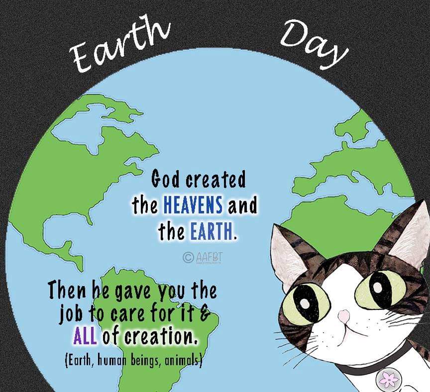 57544649_2195816494067312_8530992135866941440_n