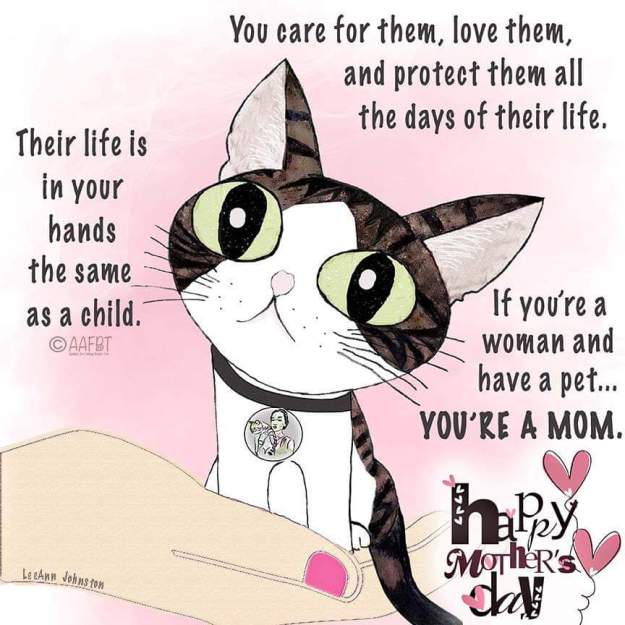 59902984_2207859769529651_5940881618041307136_n