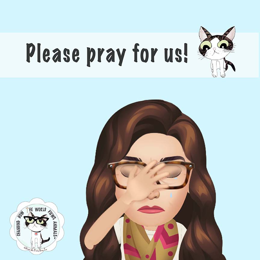 please-pray-for-us-aafbt-sm