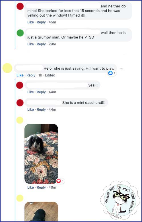 Facebook-Neighbors-Conversation-Dog3-aafbt