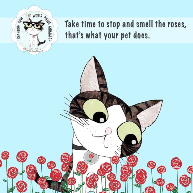 smell-roses-pet-does-aafbt