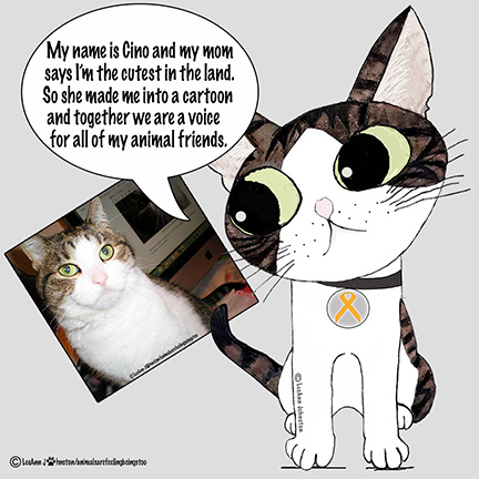 cino-cartoon-intro2024-blog-aafbt